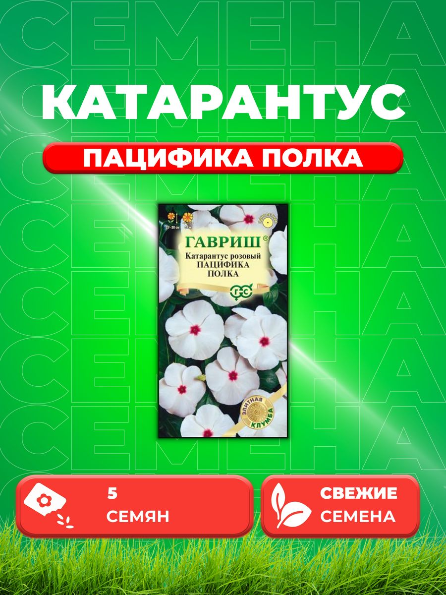 

Семена Катарантус Пацифика Полка, 5шт, Гавриш