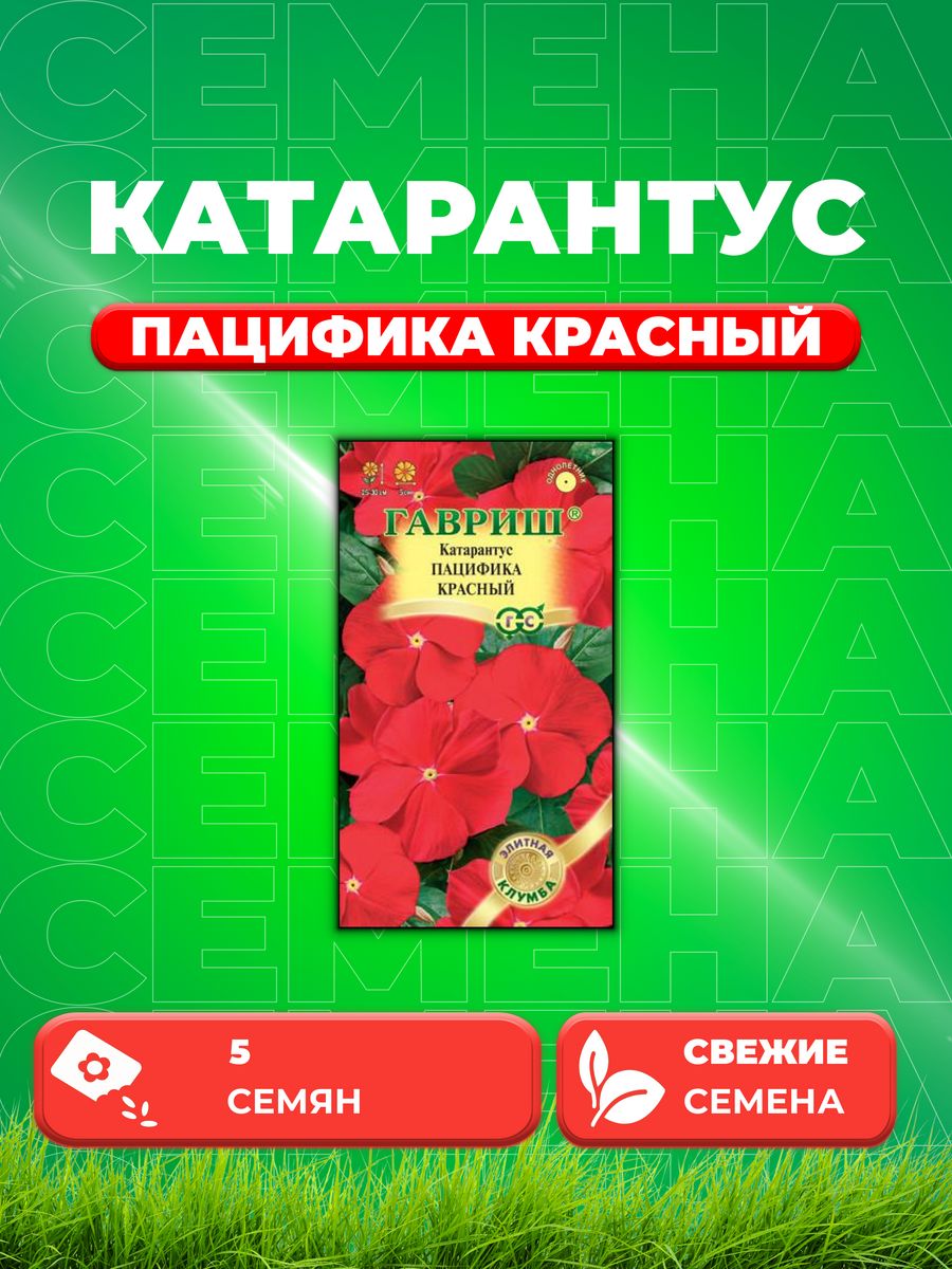 

Семена Катарантус Пацифика Красный, 5шт, Гавриш