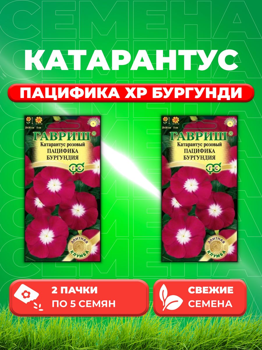 

Семена Катарантус Пацифика Бургунди, 5шт, Гавриш(2уп)