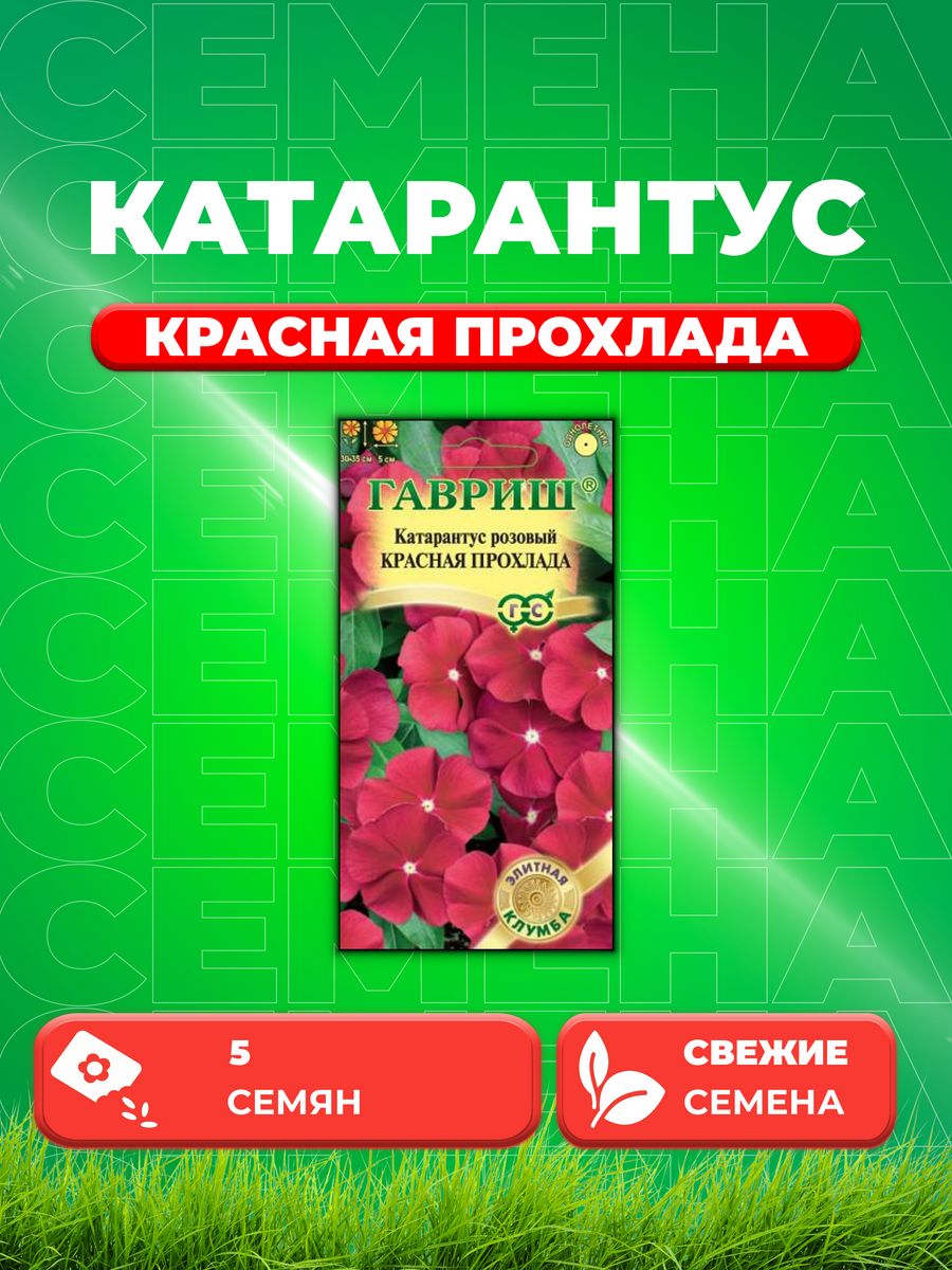 

Семена Катарантус Красная прохлада, 5шт, Гавриш