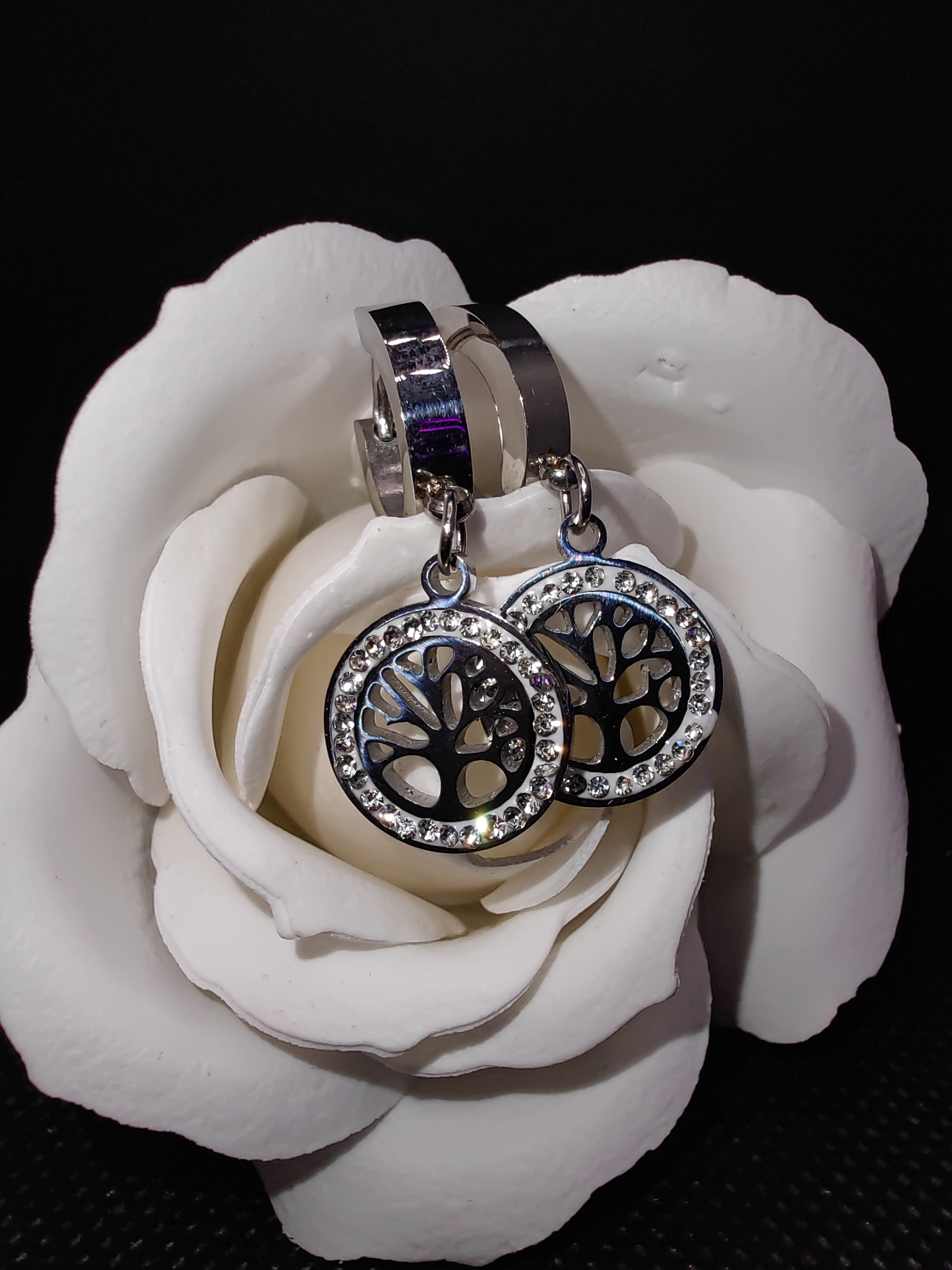 

Серьги из титана Fashion Z0013, Swarovski, Z0013
