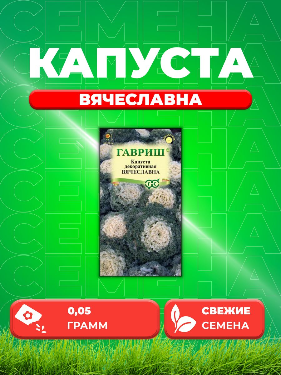 

Семена капуста декоративная Вячеславна Гавриш 1071858725-1 1 уп.