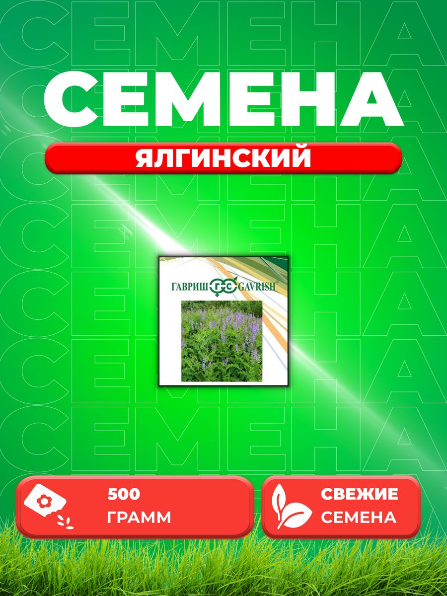 

Семена Козлятник Ялгинский, 0,5кг, Гавриш, Зеленое удобрение