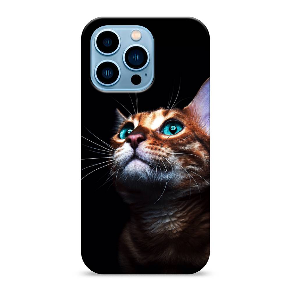 

Пластиковый чехол "Мечтательный кот" на Apple iPhone 13 Pro, 14320-1