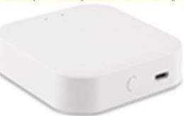 

ST Luce WI-FI конвертер для трековой системы Skyline 220 ST015.500.97