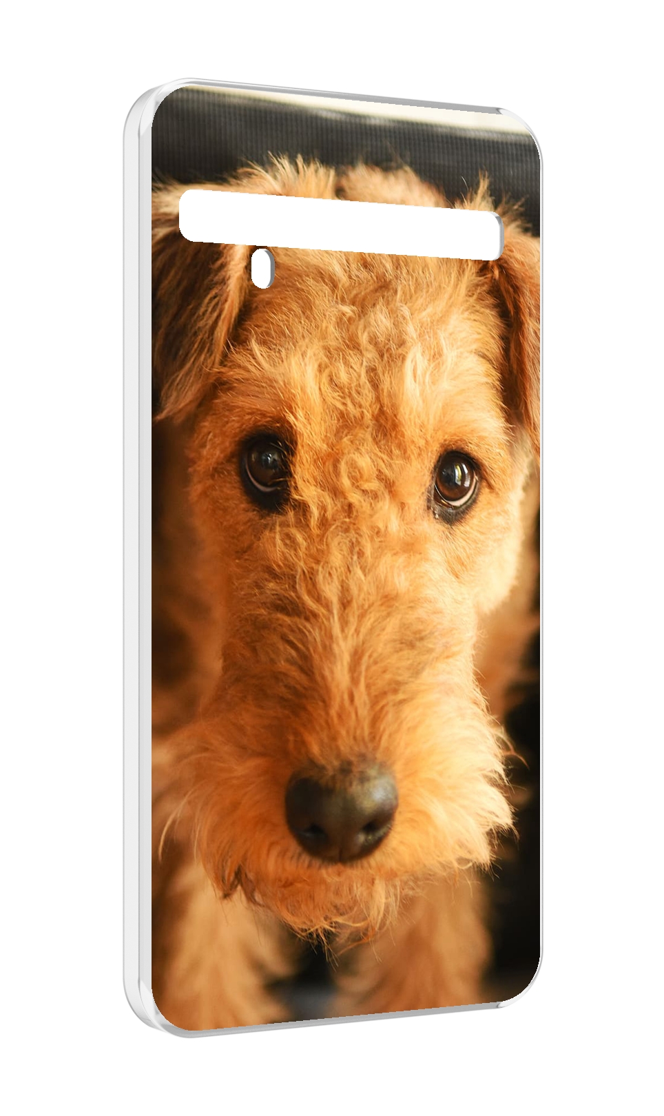 

Чехол MyPads эрдельтерьер для TCL 10 Pro / TCL 10 + Plus, Прозрачный, Tocco