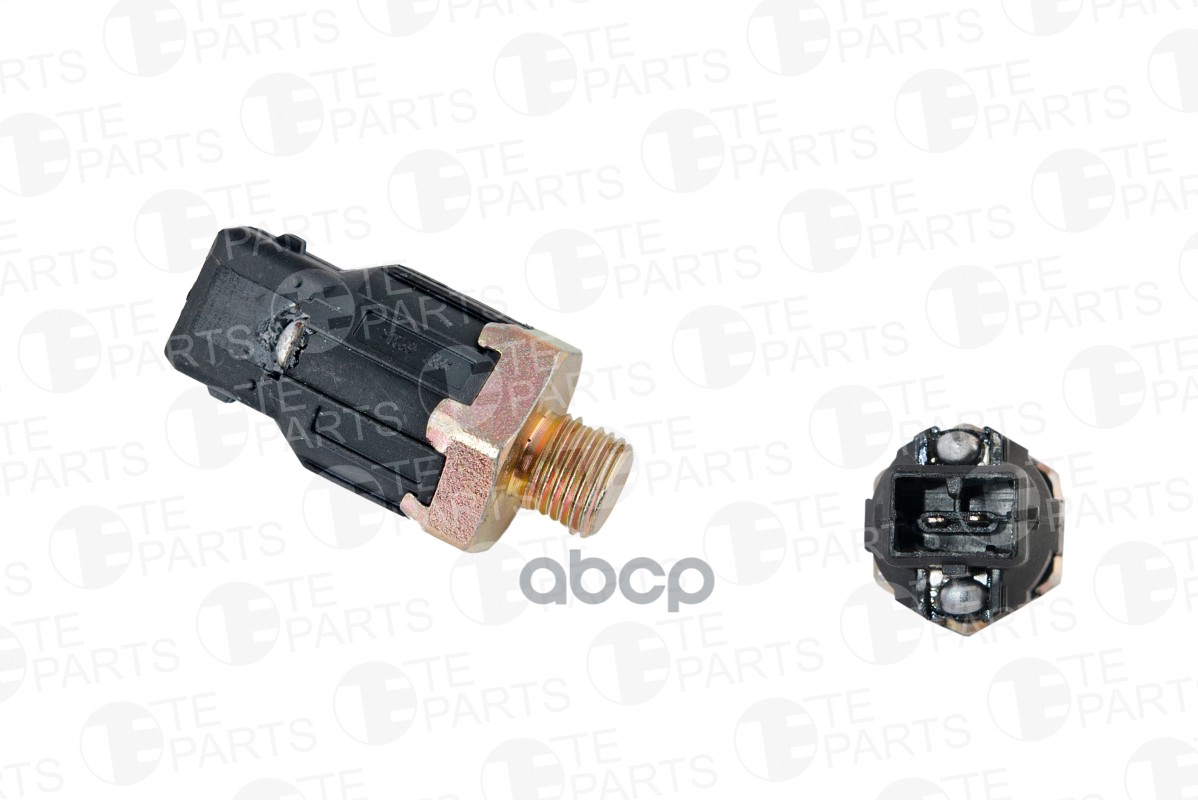 

Датчик Детонации TE PARTS арт. 86038689