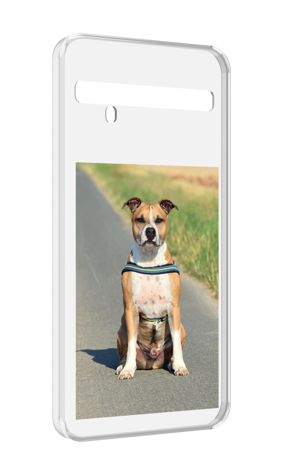 

Чехол MyPads стаффорд терьер для TCL 10 Pro / TCL 10 + Plus, Прозрачный, Tocco