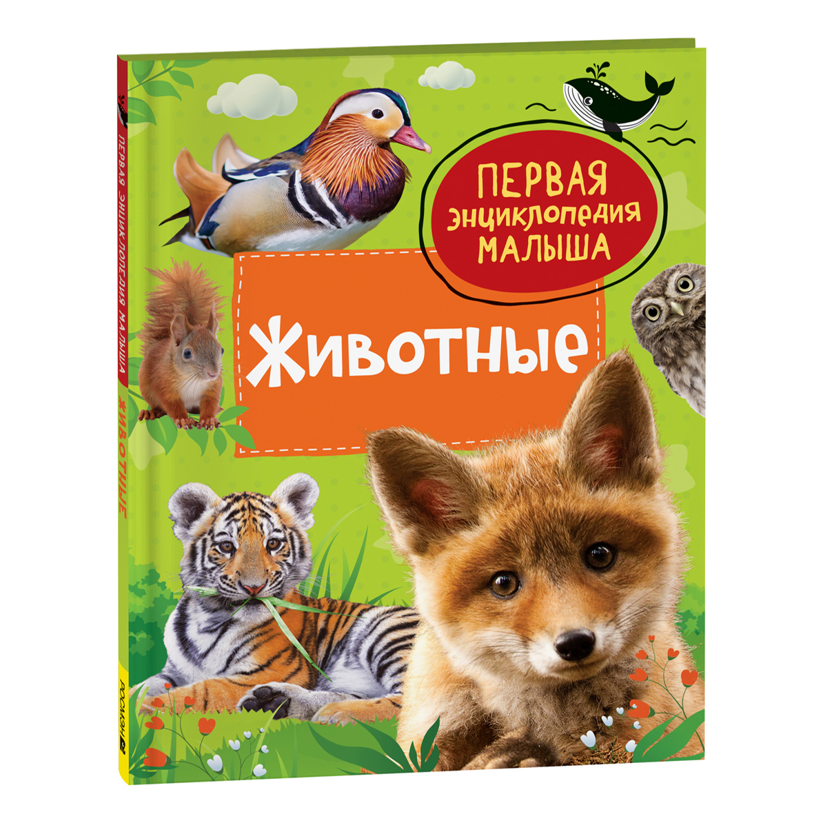 

Первая энциклопедия малыша