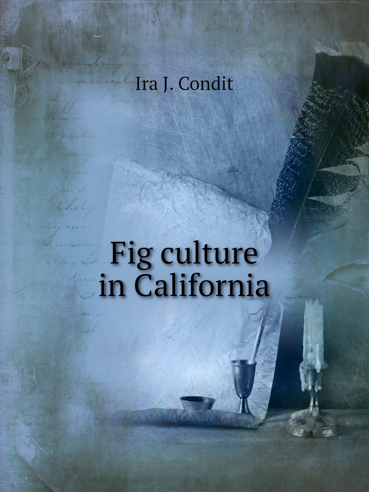 

Fig culture in California