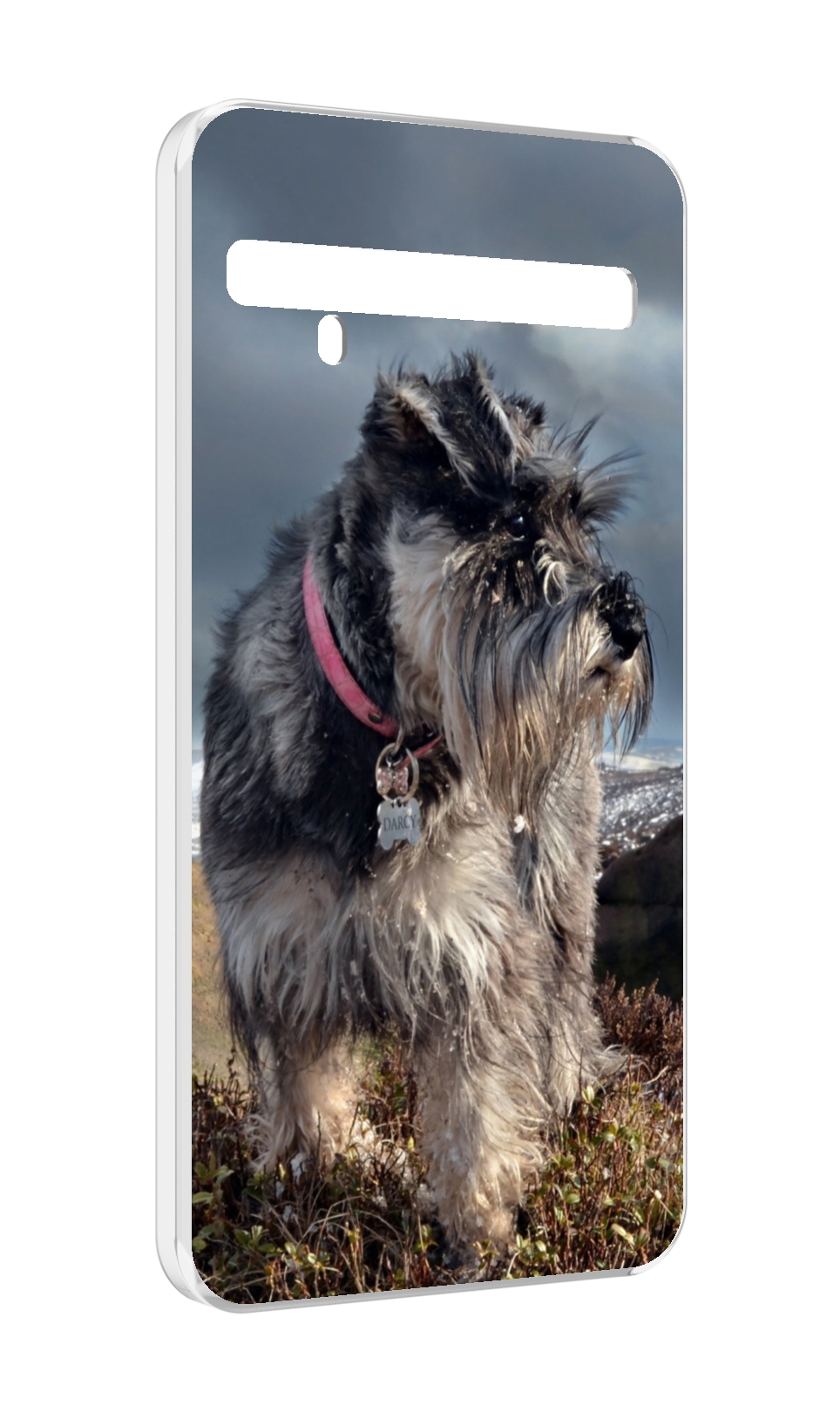 

Чехол MyPads ризеншнауцер 2 для TCL 10 Pro / TCL 10 + Plus, Прозрачный, Tocco