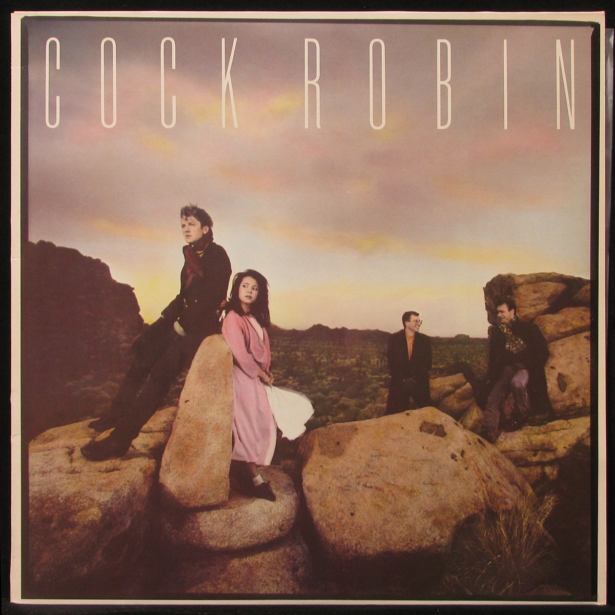 

Cock Robin - Cock Robin (LP)