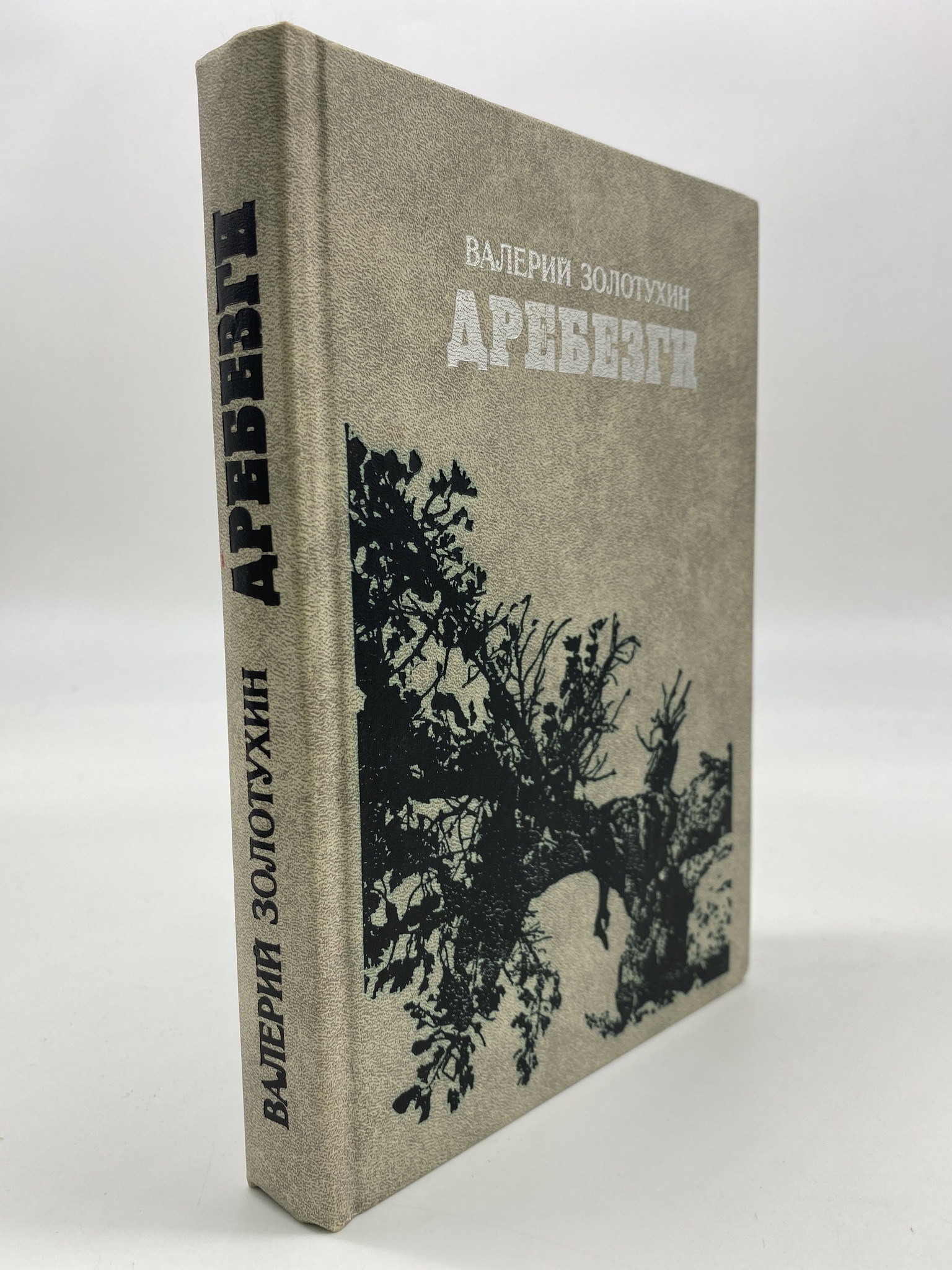 

Дребезги. Золотухин Валерий Сергеевич, РАВ-АБШ-153-2406