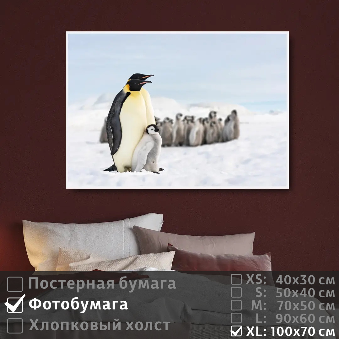 

Постер на фотобумаге ПолиЦентр Про семью пингвинов 100х70 см, ПроСемьюПингвинов1