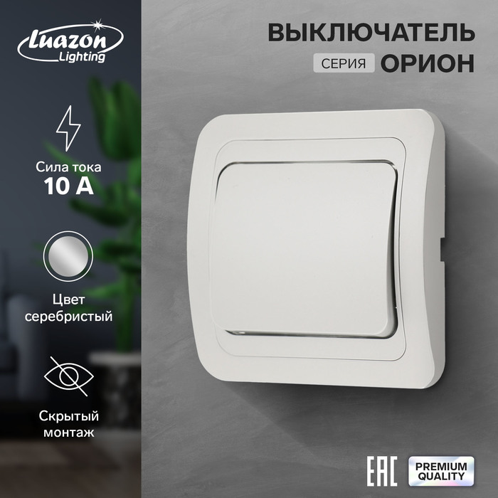 Выключатель Luazon Lighting Орион, 10 А, 1 клавиша, скрытый, серебристый сетевой фильтр luazon lighting 5 розеток 3 м 2200 вт 3 х 0 75 мм2 10 а 220 в белый