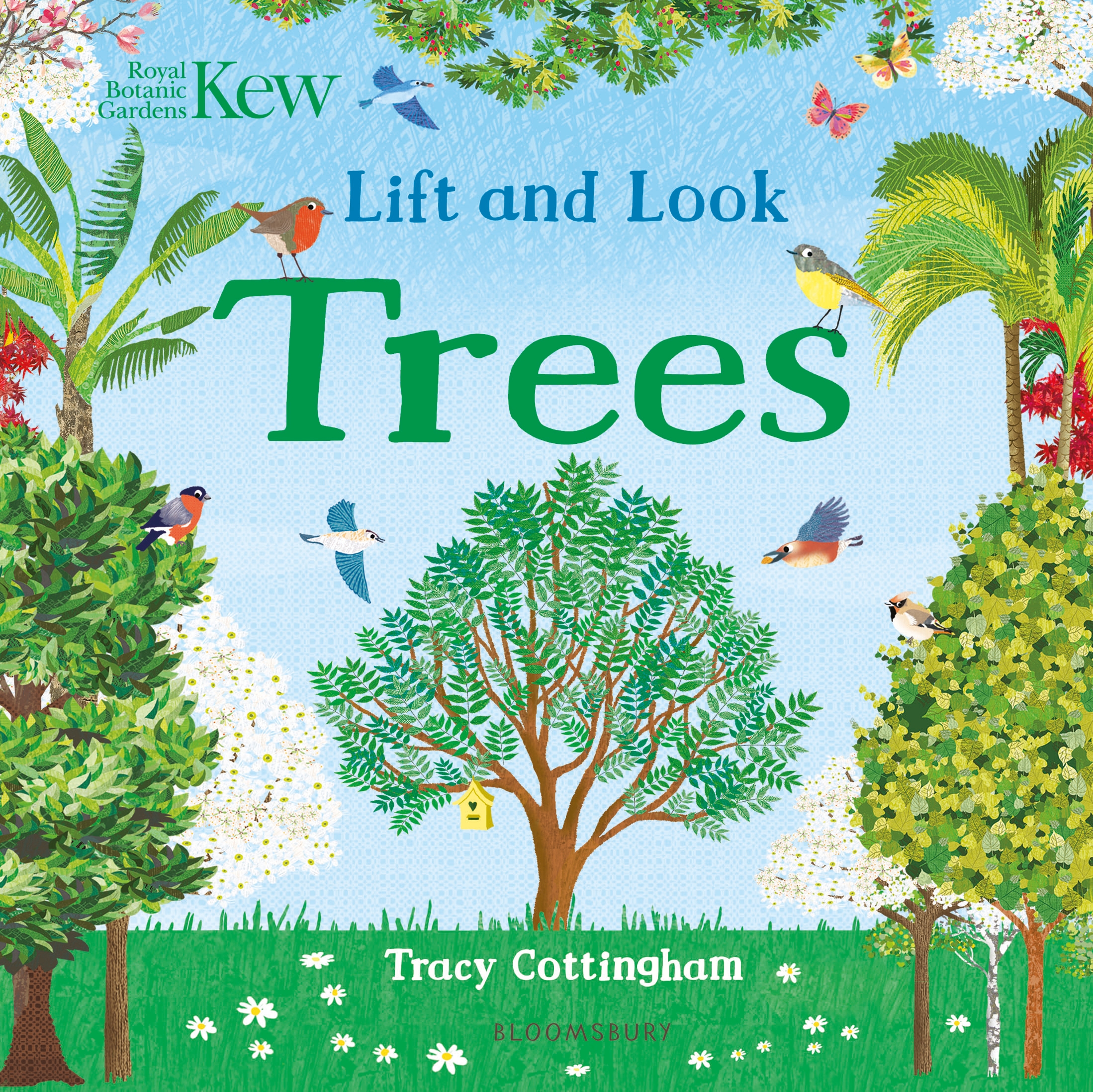 

Lift and Look Trees