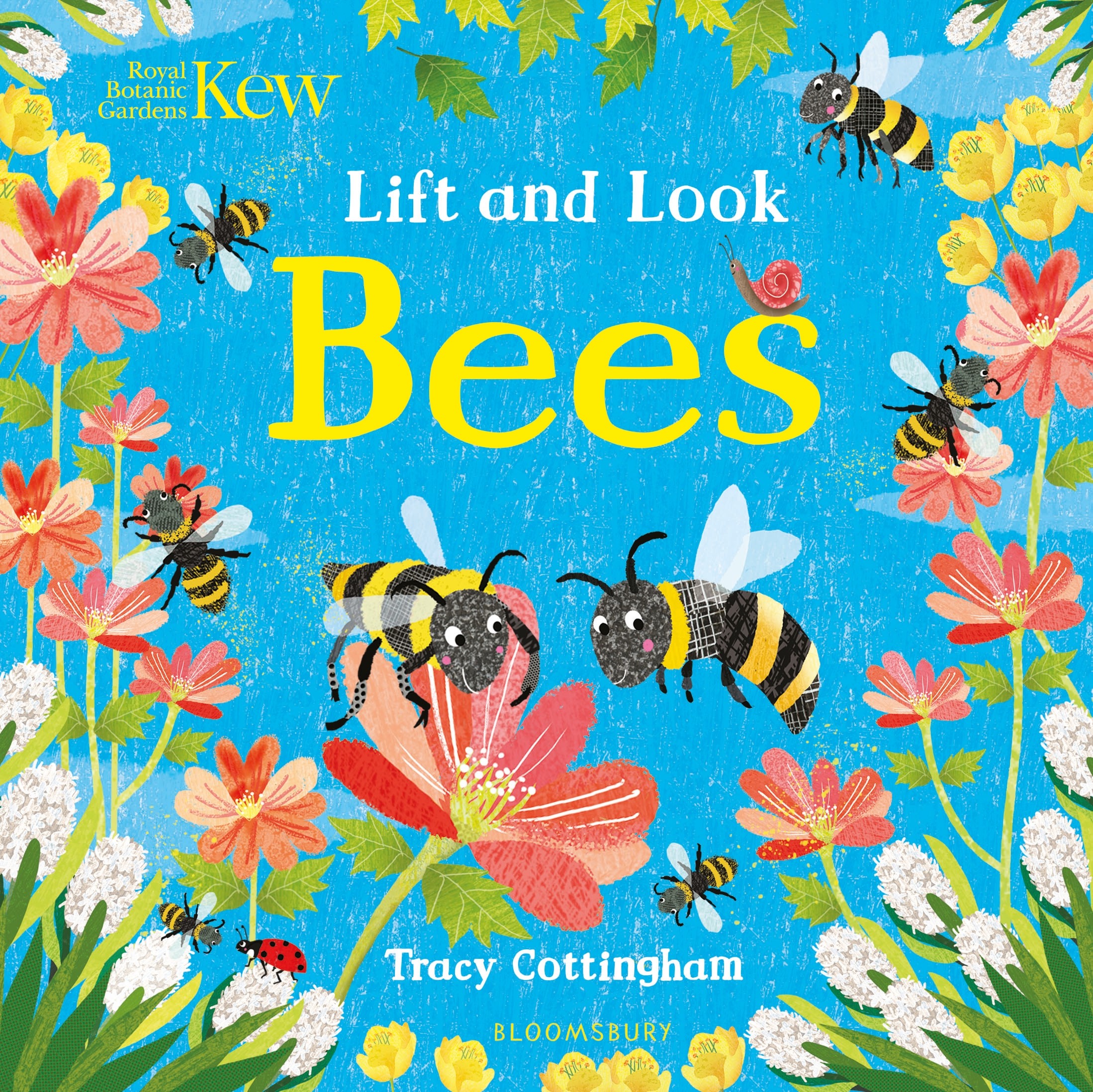 

Lift and Look Bees