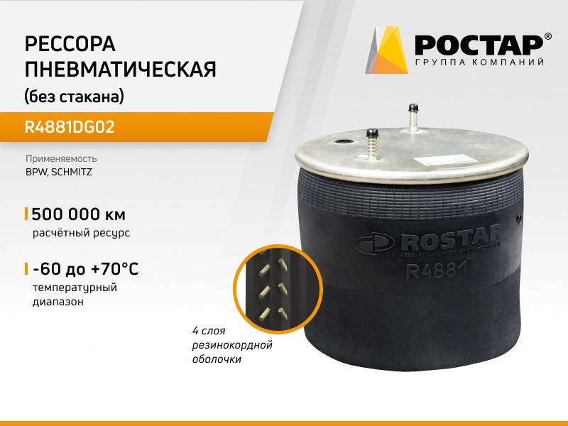 R4881DG02_пневмоподушка без стакана 4881NP02 6250₽