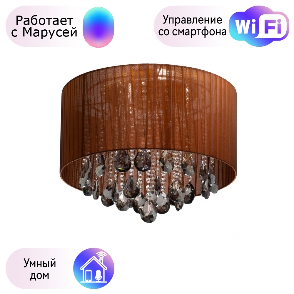 

Потолочная люстра MW-Light Жаклин с поддержкой Маруся 465017006-М