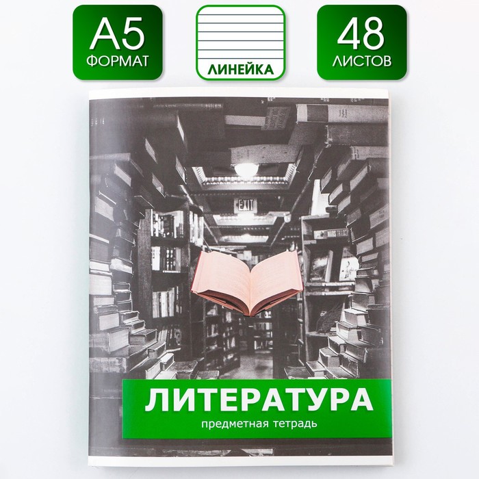 

Предметная тетрадь 48 л "ПРЕДМЕТЫ" со справочными материалами "Литература"