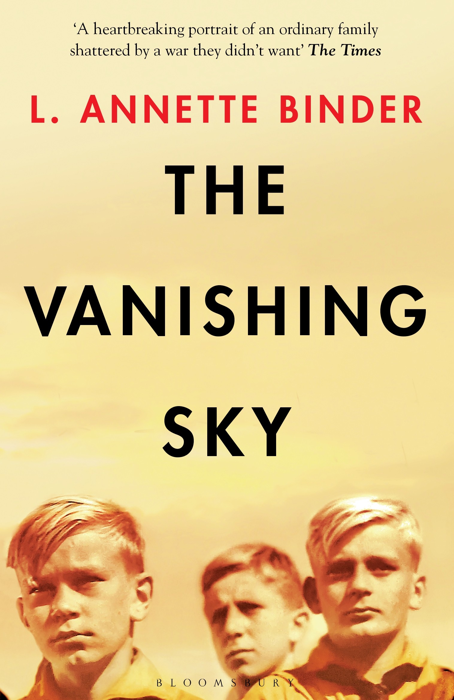 

The Vanishing Sky