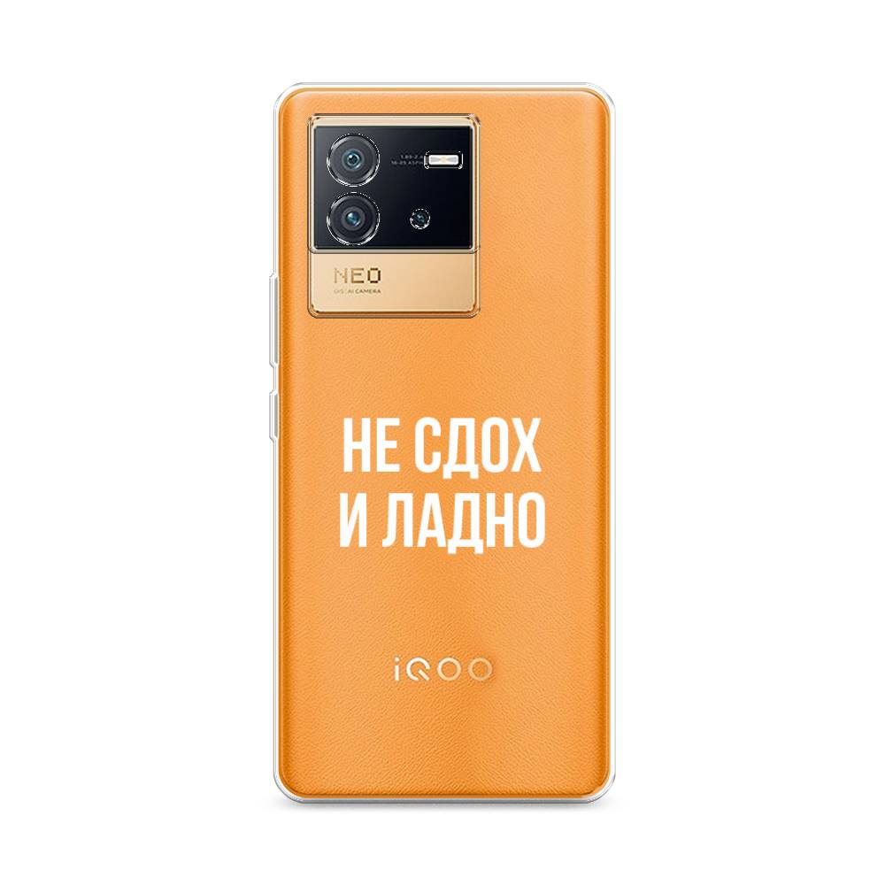 

Чехол Awog на Vivo iQOO Neo6 "Не сдох и ладно", Разноцветный, 266850-6