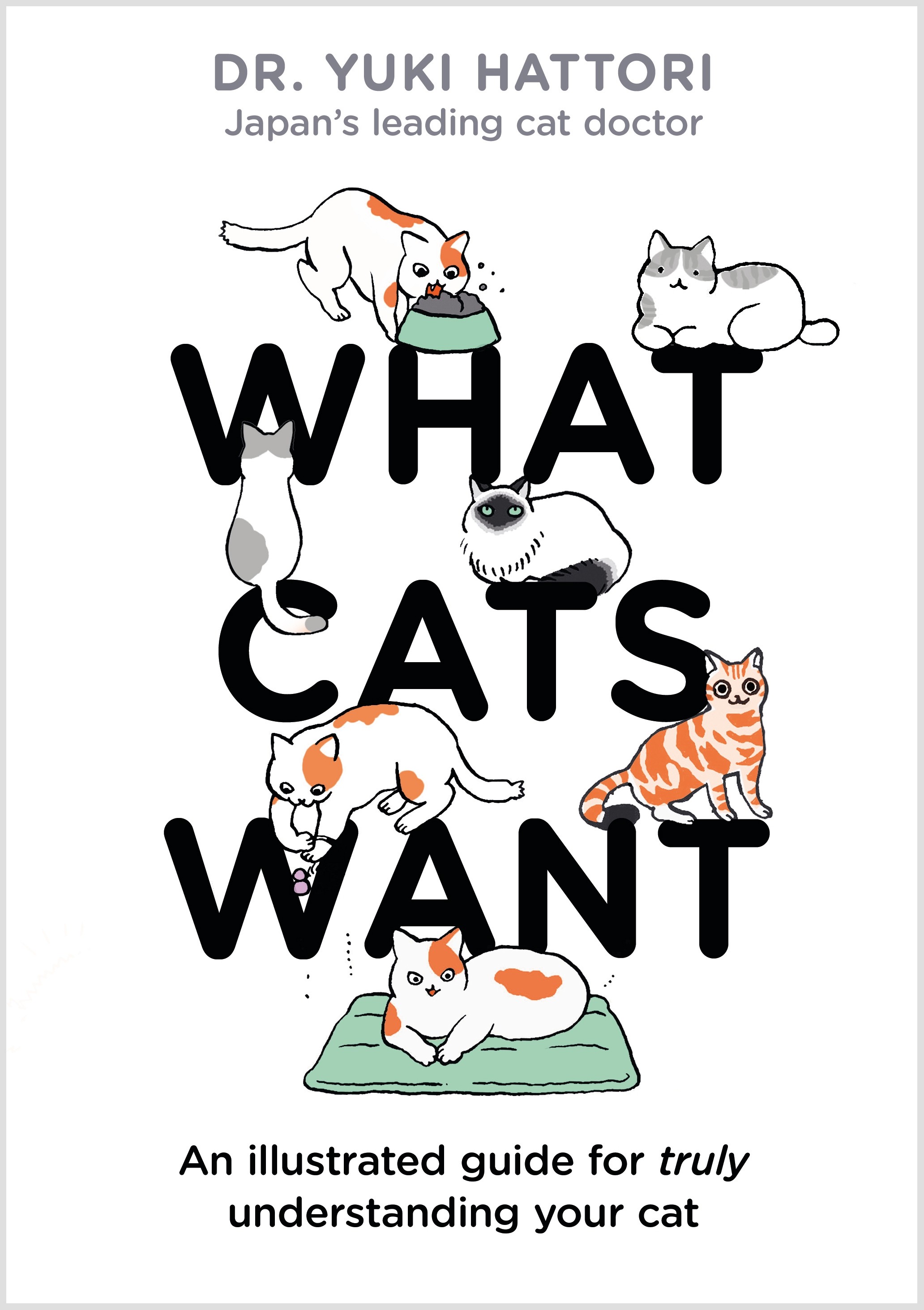 

What Cats Want An Illustrated Guide for Truly Understanding Your Cat