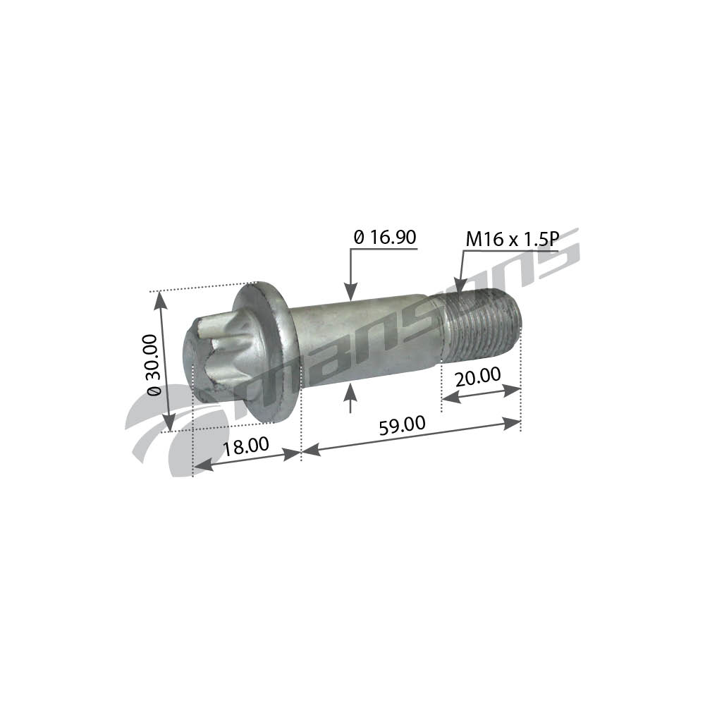 602.010Mns Болт Кронштейна Суппорта M16X1.5X59 (С Покрытием Geomet) Schmitz