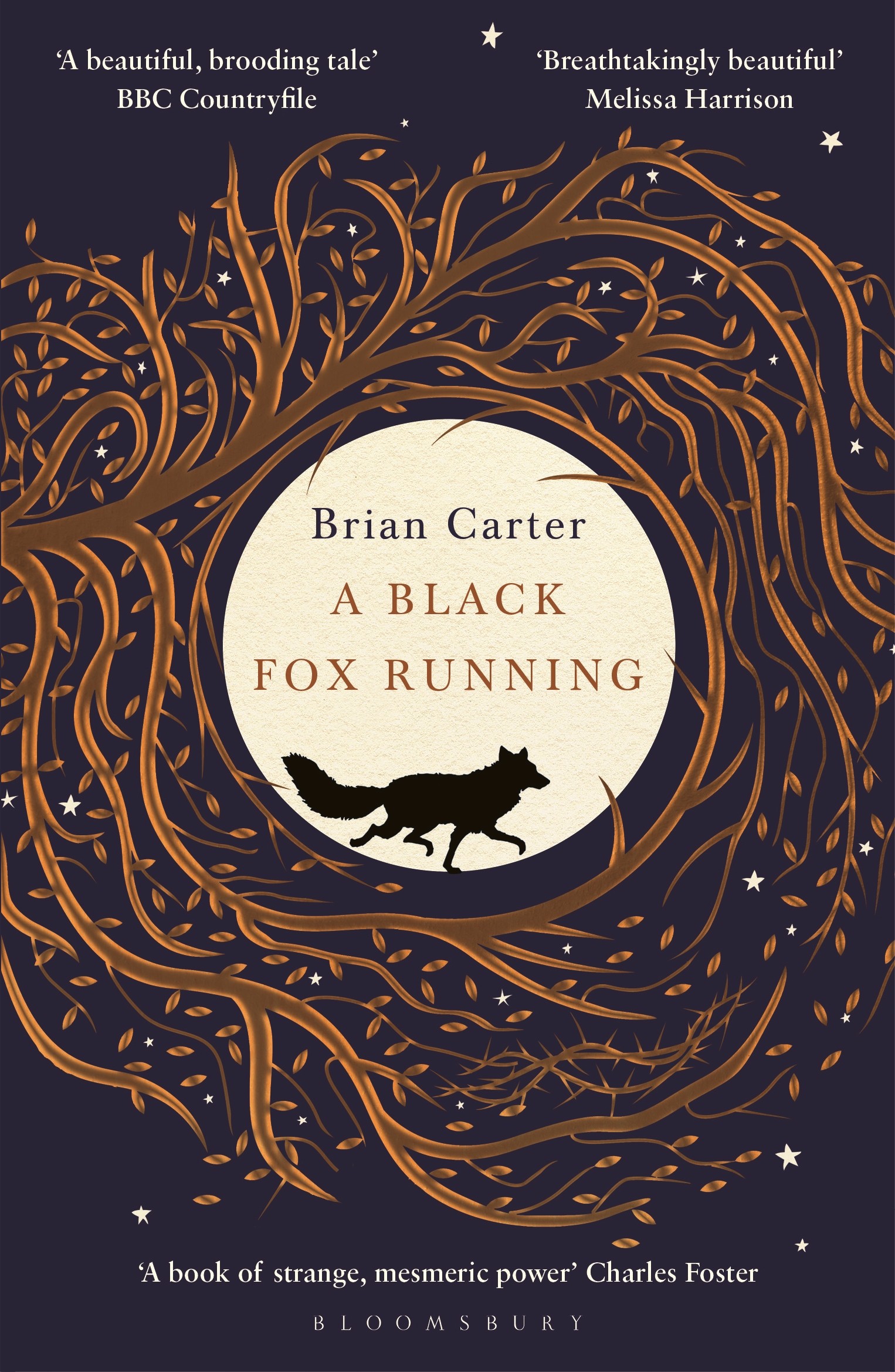 

A Black Fox Running