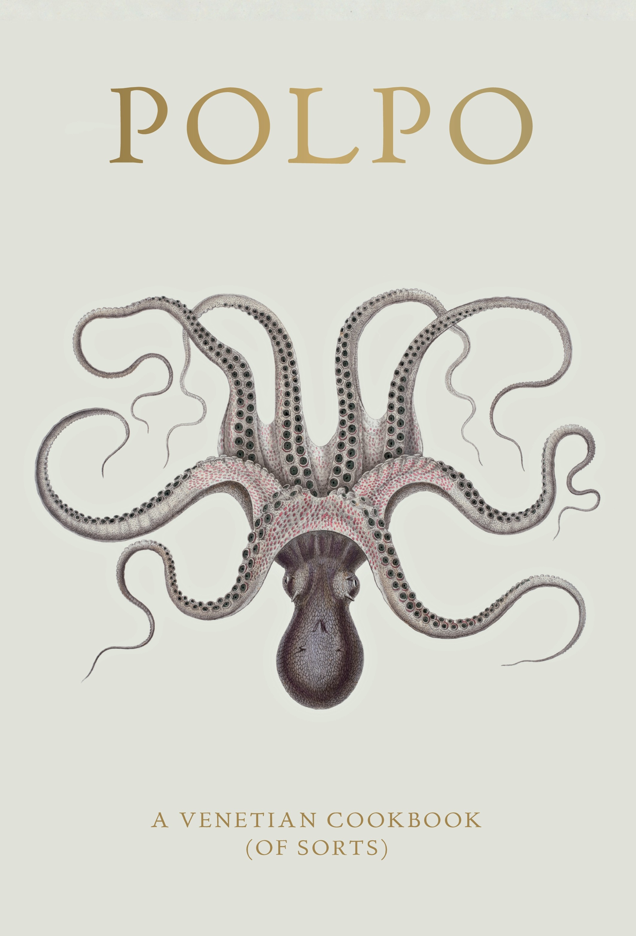 

Polpo A Venetian Cookbook Of Sorts