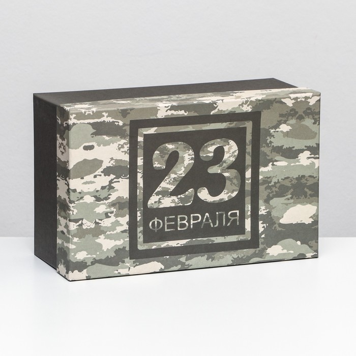 

UPAK LAND Подарочная коробка "23 февраля",прямоугольная ,27 х 17 х 11 см, Разноцветный