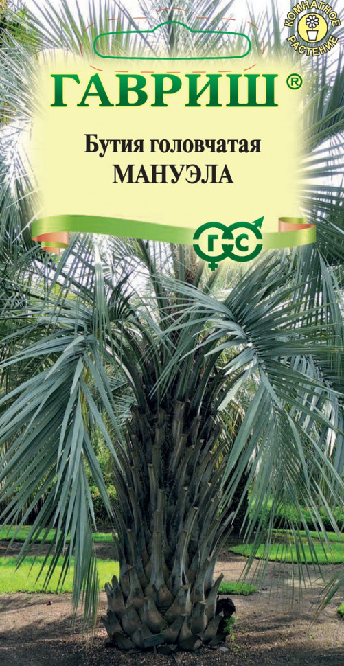 

Семена бутия головчатая Мануэла Гавриш 1026998887-10 1 уп.