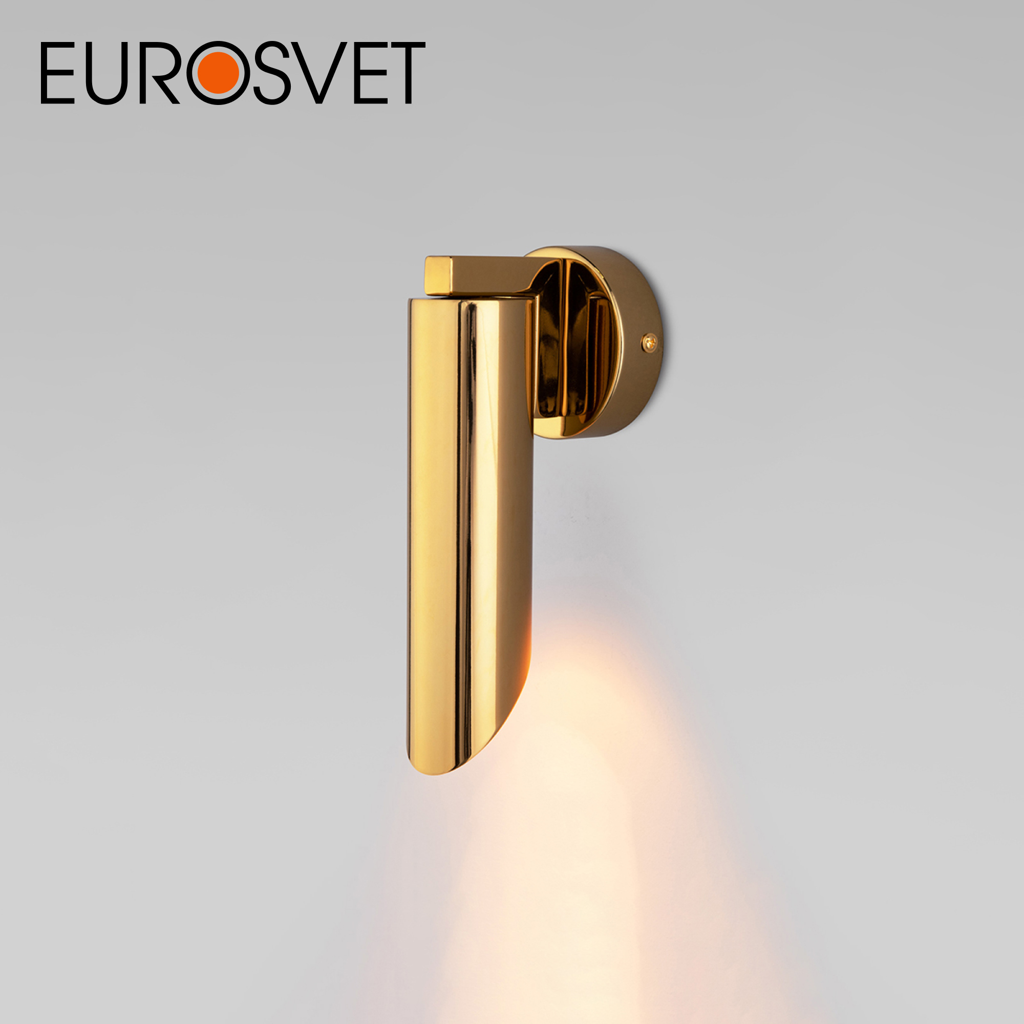 Настенный светильник Eurosvet Wing 40037/1 золото с металлическим плафоном E14