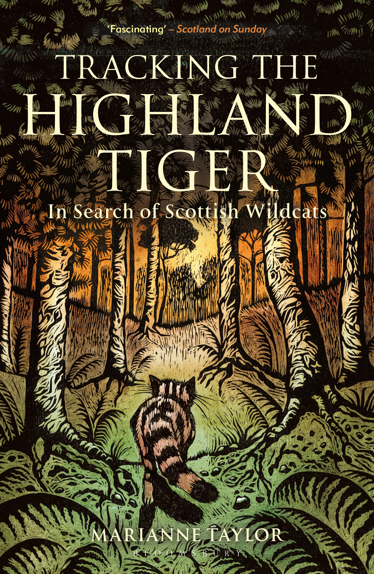 

Tracking The Highland Tiger In Search of Scottish Wildcats