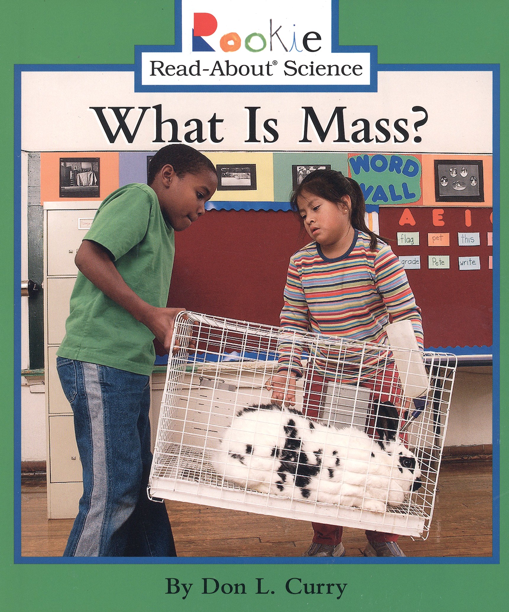 

What Is Mass