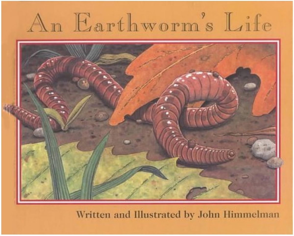 

An Earthworm's Life