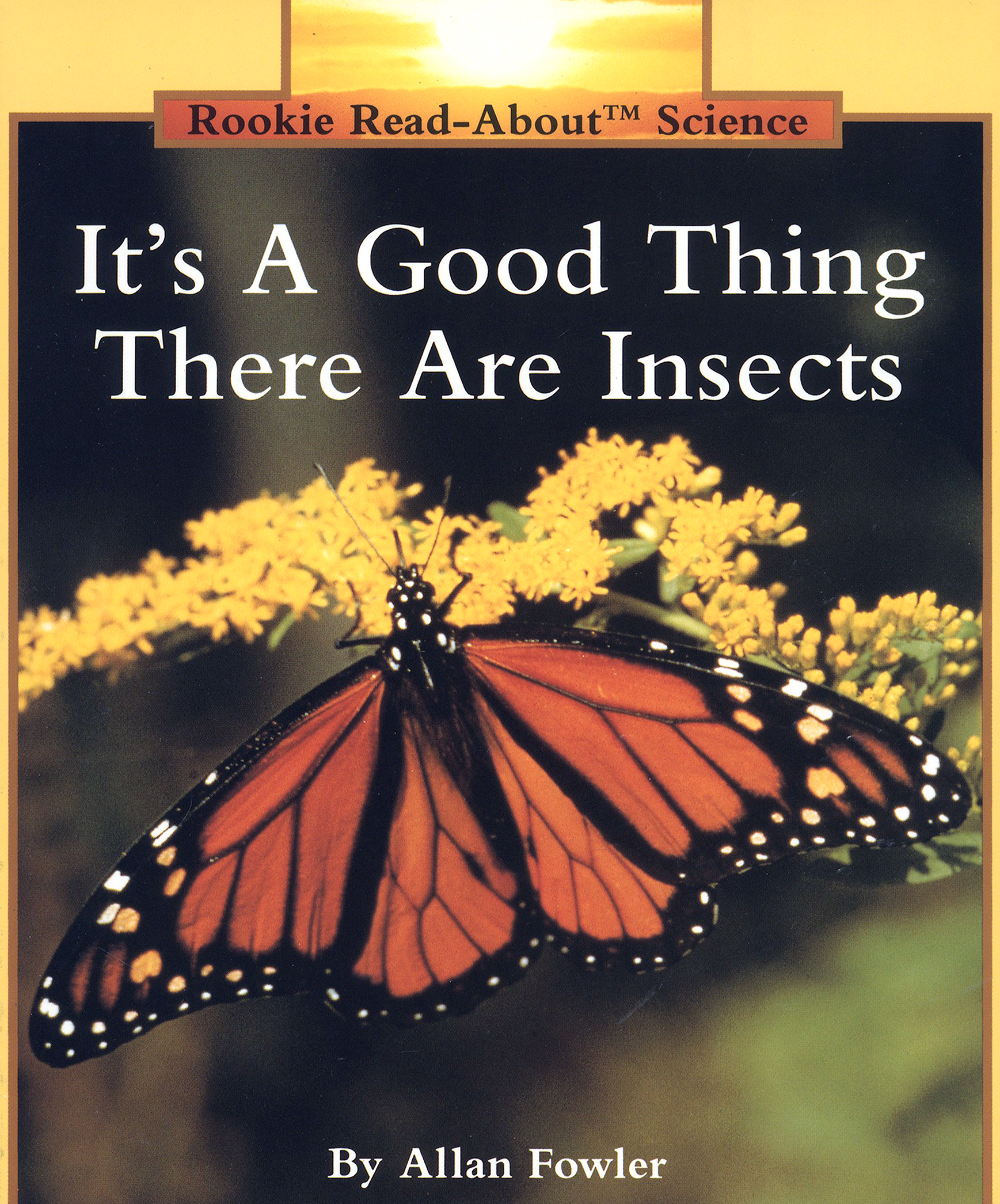 

It's a Good Thing There Are Insects