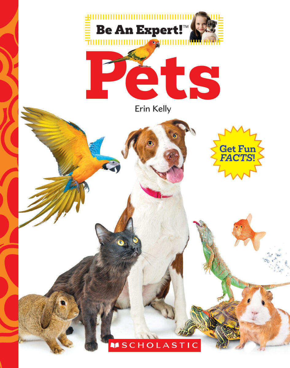 

Pets