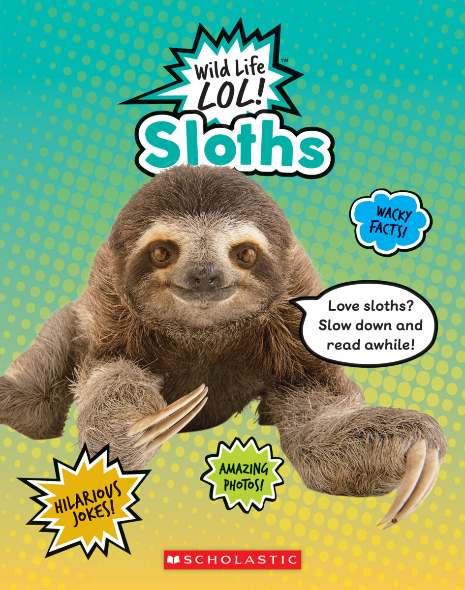 

Sloths
