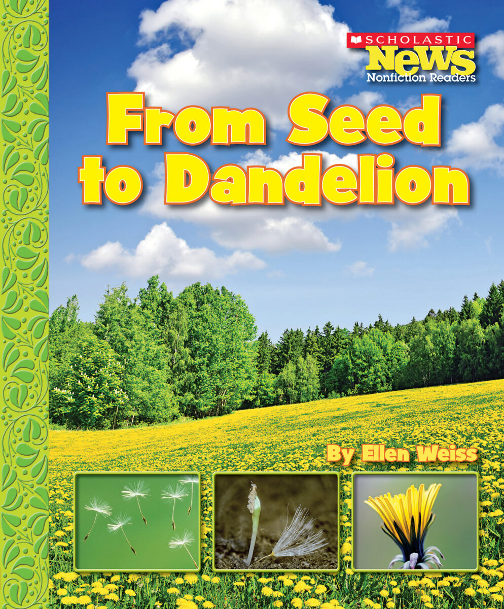 

From Seed to Dandelion
