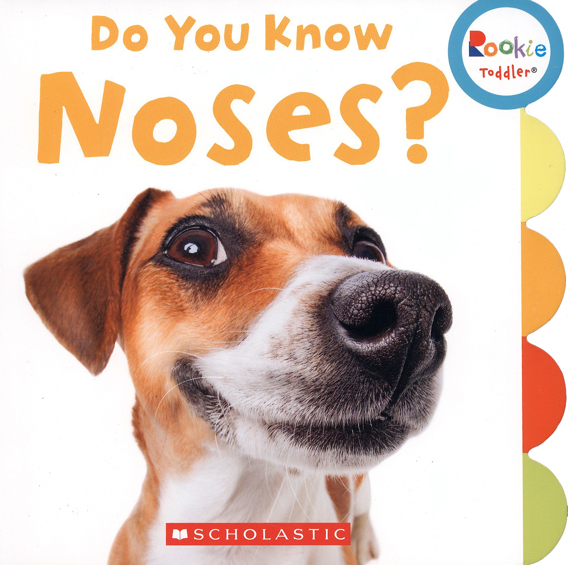 

Do You Know Noses