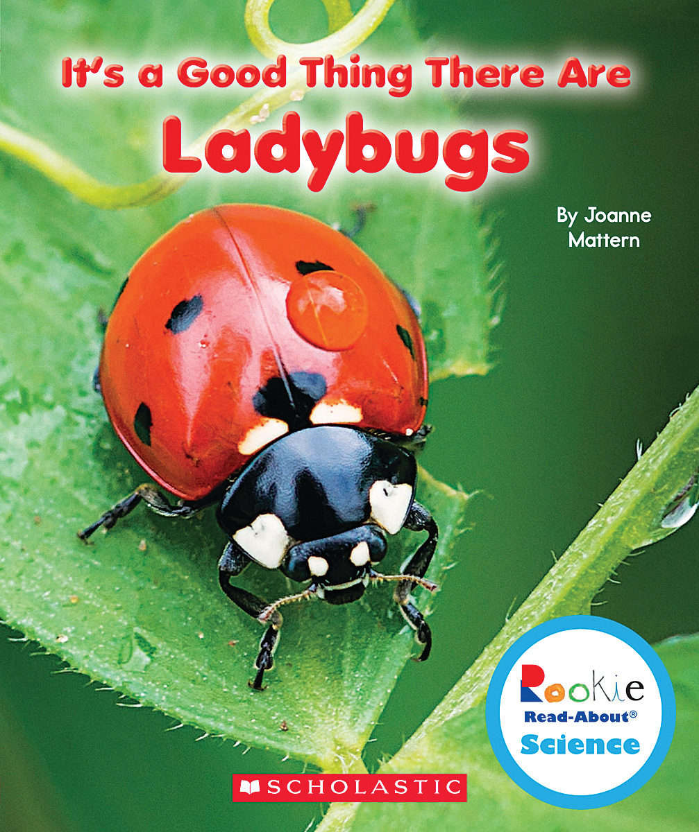 

It's a Good Thing There Are Ladybugs