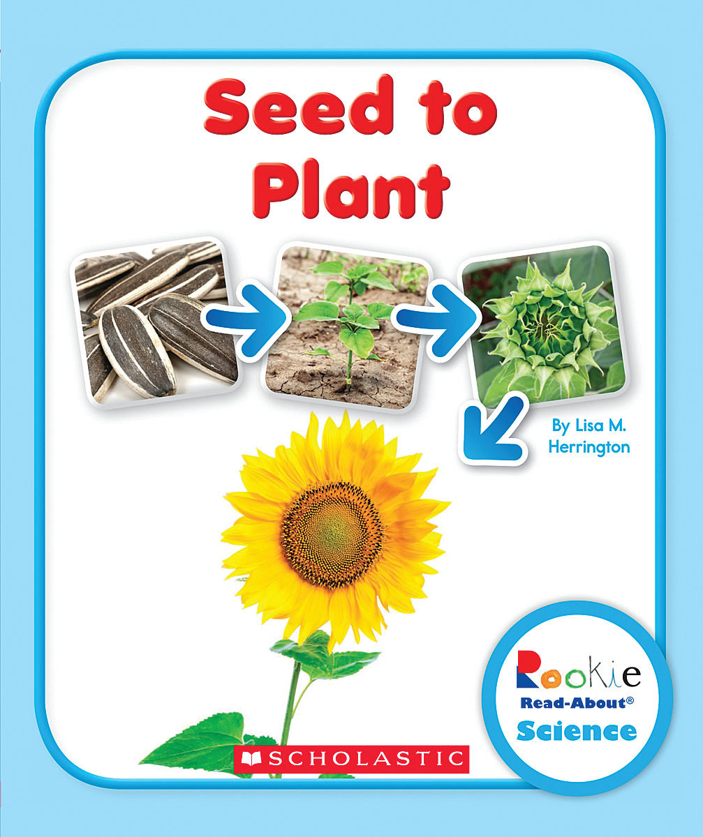 

Seed to Plant