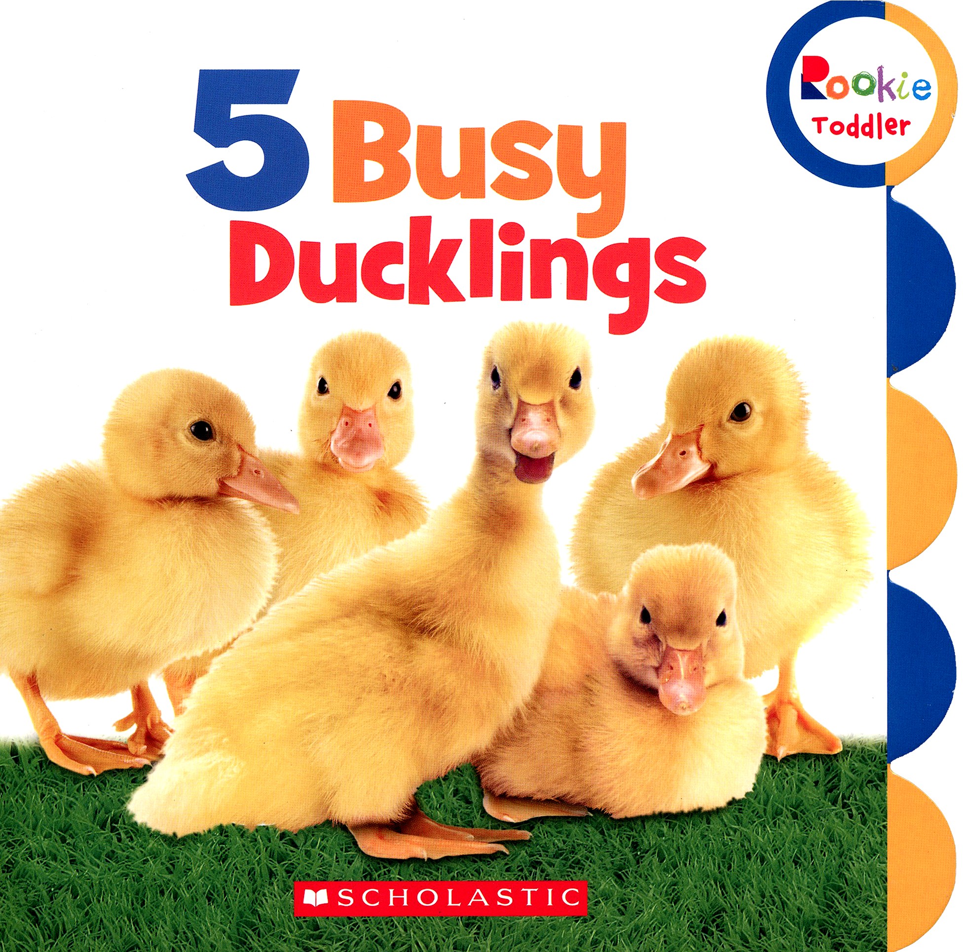 

5 Busy Ducklings