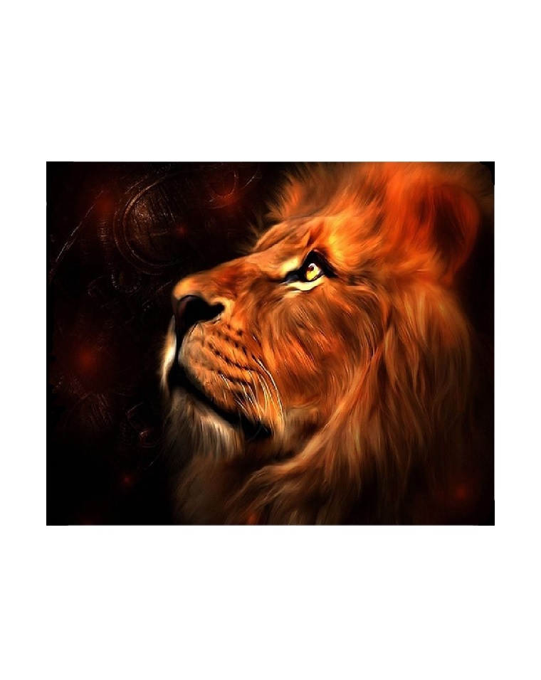 фото Алмазная мозаика картина стразами лев, 30х40 см 41084 00114216 nobrand