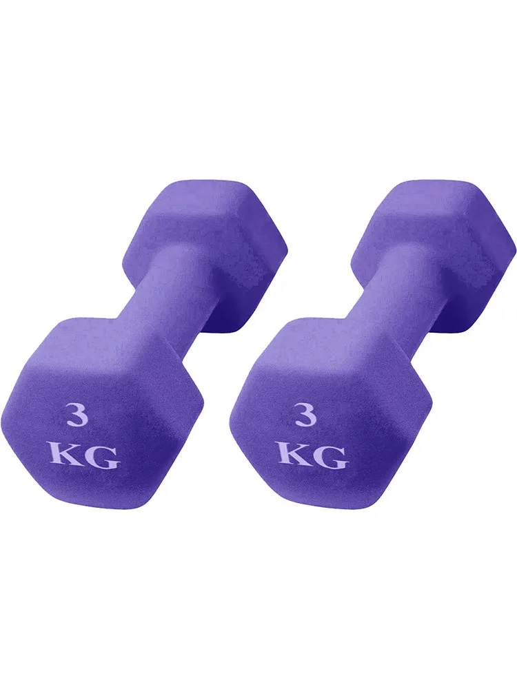 Неразборная гантель 54001541 1 x 0,91 кг, фиолетовый