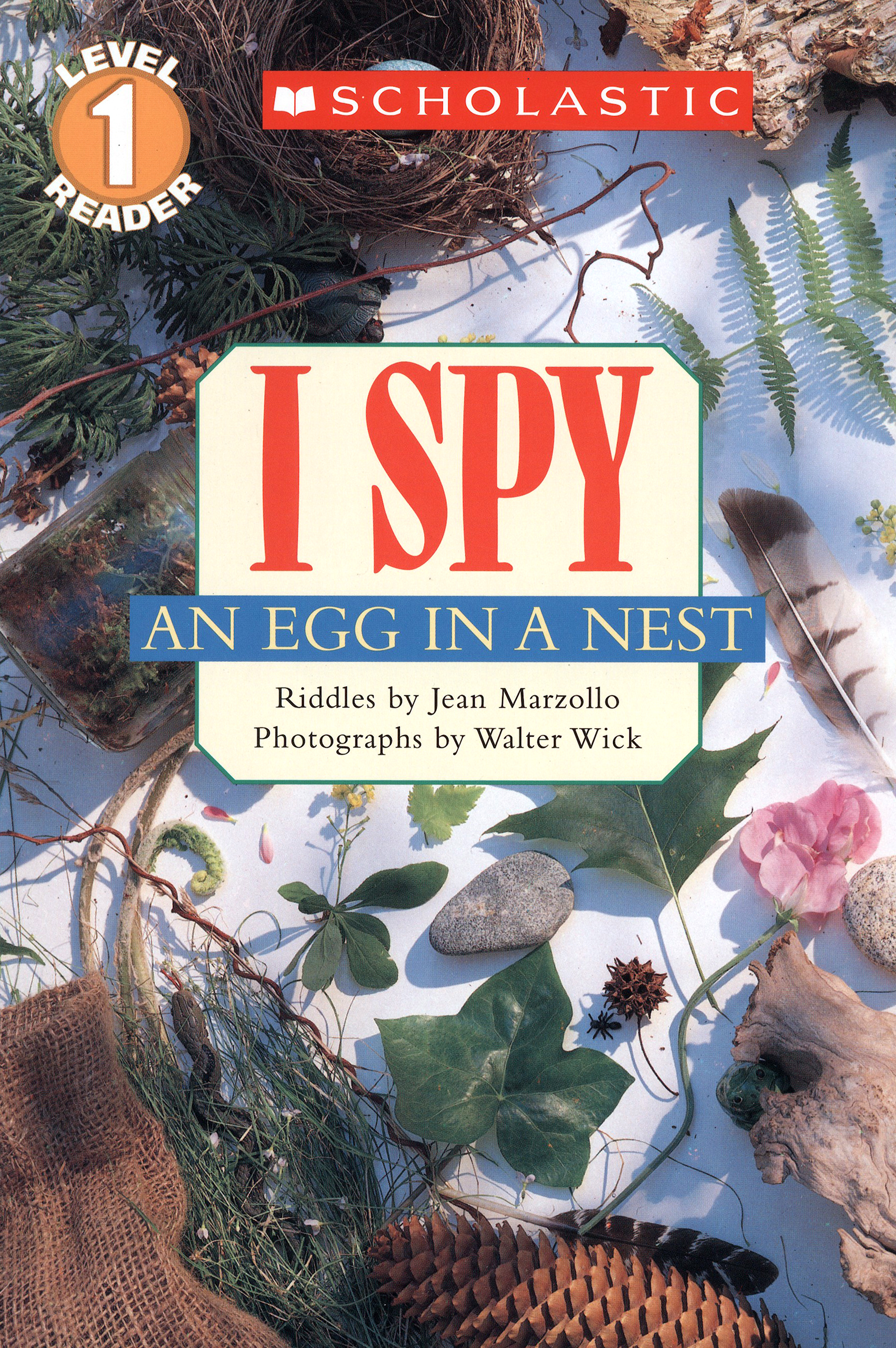 

I Spy an Egg in a Nest Level 1
