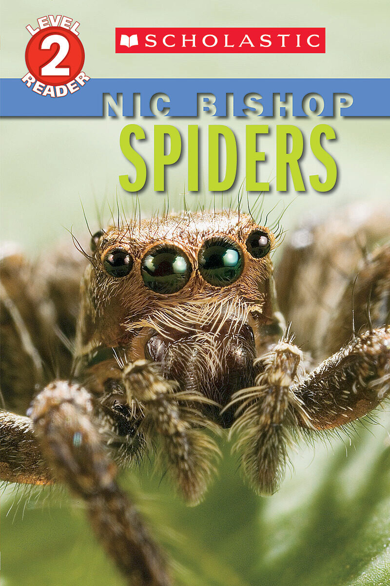 

Spiders Level 2