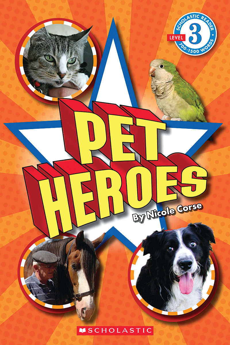 

Pet Heroes Level 3