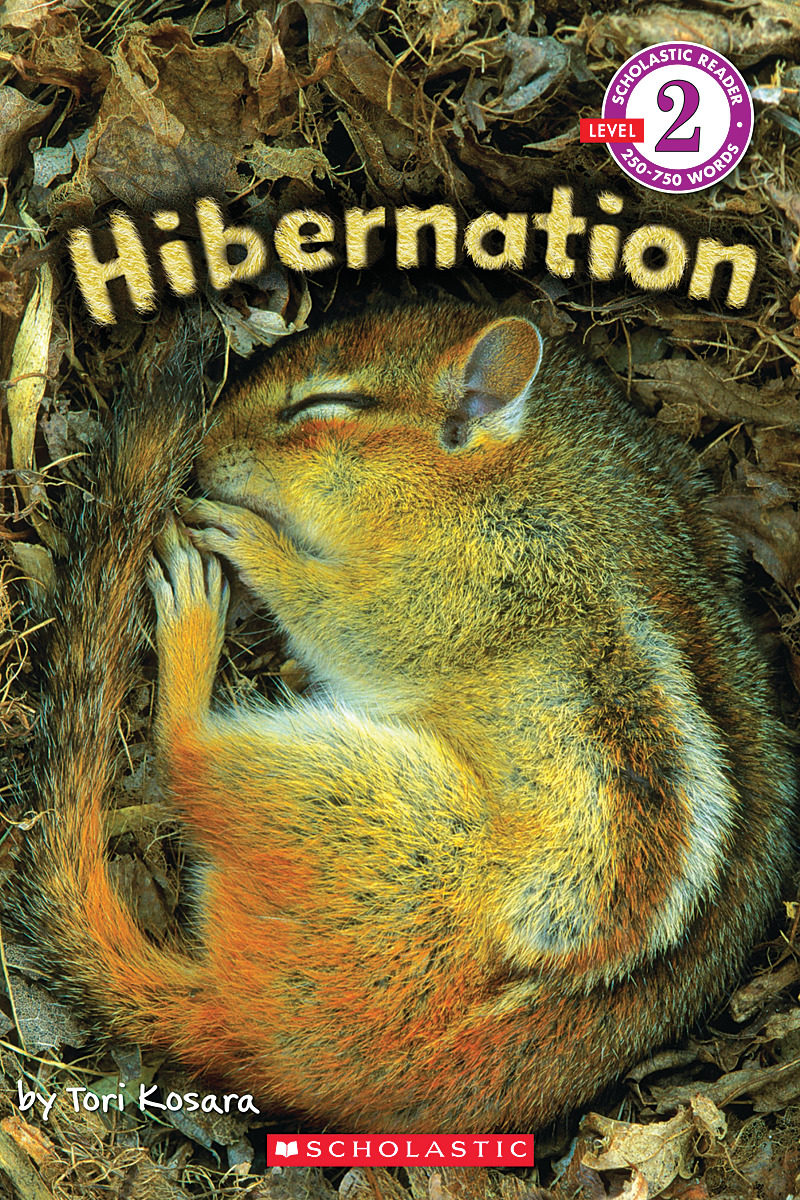 

Hibernation Level 2